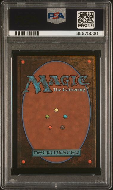 graded cards mtg Magnetic Card Slab for Trading Cards, Acrylic One Touch Card Case Holder PSA Slab Protector with Label Position Fit for TCG, MTG, Baseball Cards, Sports Cards, Game Cards(2P) : Toys Graded Cards - MTG