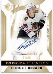 UD SP HOCKEY 23/24 BLASTER