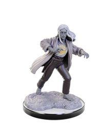 D&amp;D Minis non peints WV22 Reborn Paladin/Warlock [90673]