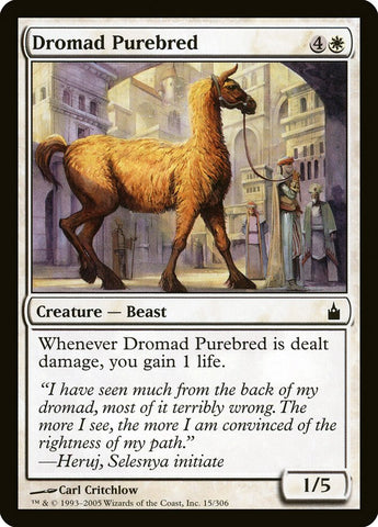 Dromad Purebred [Ravnica : Cité des guildes] 