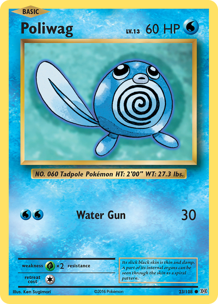 Poliwag (23/108) [XY : Évolutions] 