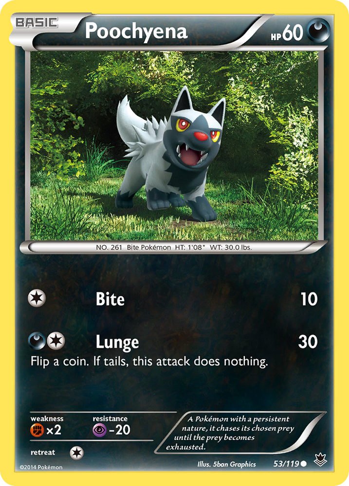 Poochyena (53/119) [XY : Forces fantômes] 