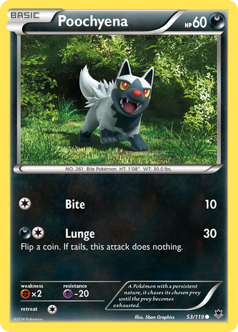 Poochyena (53/119) [XY : Forces fantômes] 