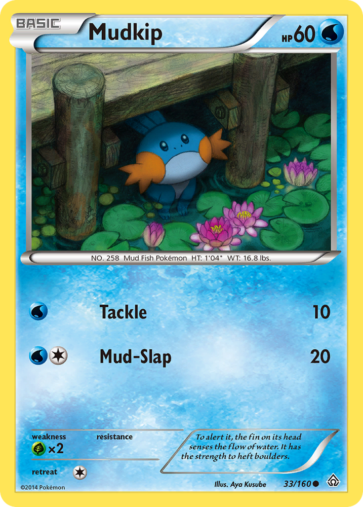 Mudkip (33/160) [XY : Primal Clash] 