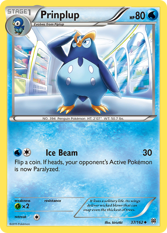 Prinplup (37/162) [XY : PERCÉE] 