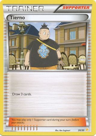 Tierno (20/30) [XY : Kit d'entraînement 3 - Pikachu Libre] 