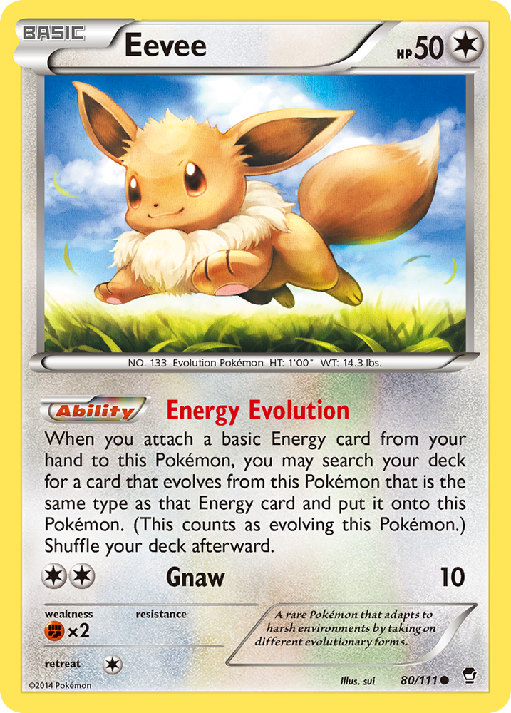 Évoli (80/111) [XY : Poings furieux] 