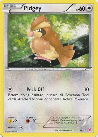 Pidgey (29/30) [XY : Kit d'entraînement 1 - Wigglytuff] 