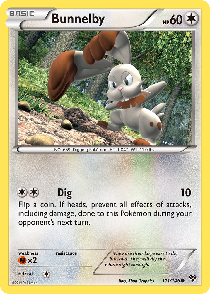 Bunnelby (111/146) [XY : ensemble de base] 